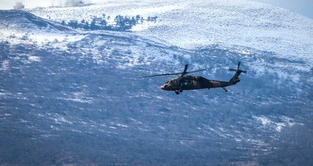 Türk Silahlı Kuvvetlerince, Zeytin Dalı Harekatı'nın Başlangıcından İtibaren Etkisiz Hale Getirilen...