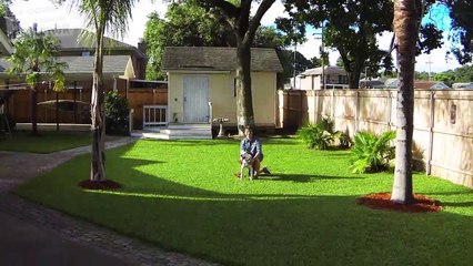 How to Teach Your Dog to Roll Over and Play Dead FAST!