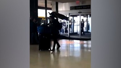 Woman tries to board flight with a peacock as a comfort animal