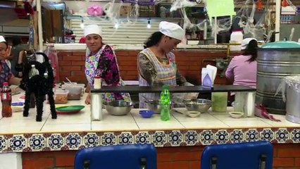 noche de brujas | parte 3