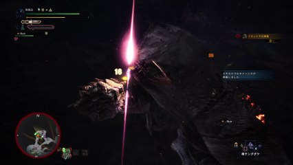 モンスターハンター：ワールド_20180131164047