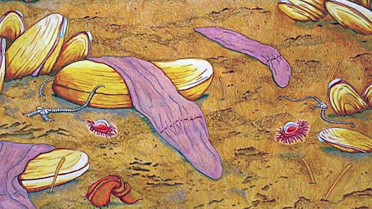 13 Amazing Ocean Phenomena