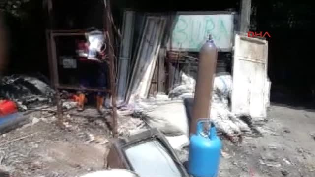 Rize 2- Zika Virüsü Salgınına Neden Olan Aedes Türü Sivrisinekler Tespit Edildi