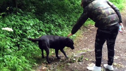 Ben Phillips | VLOG - Horrific accident playing Pokemon Go!