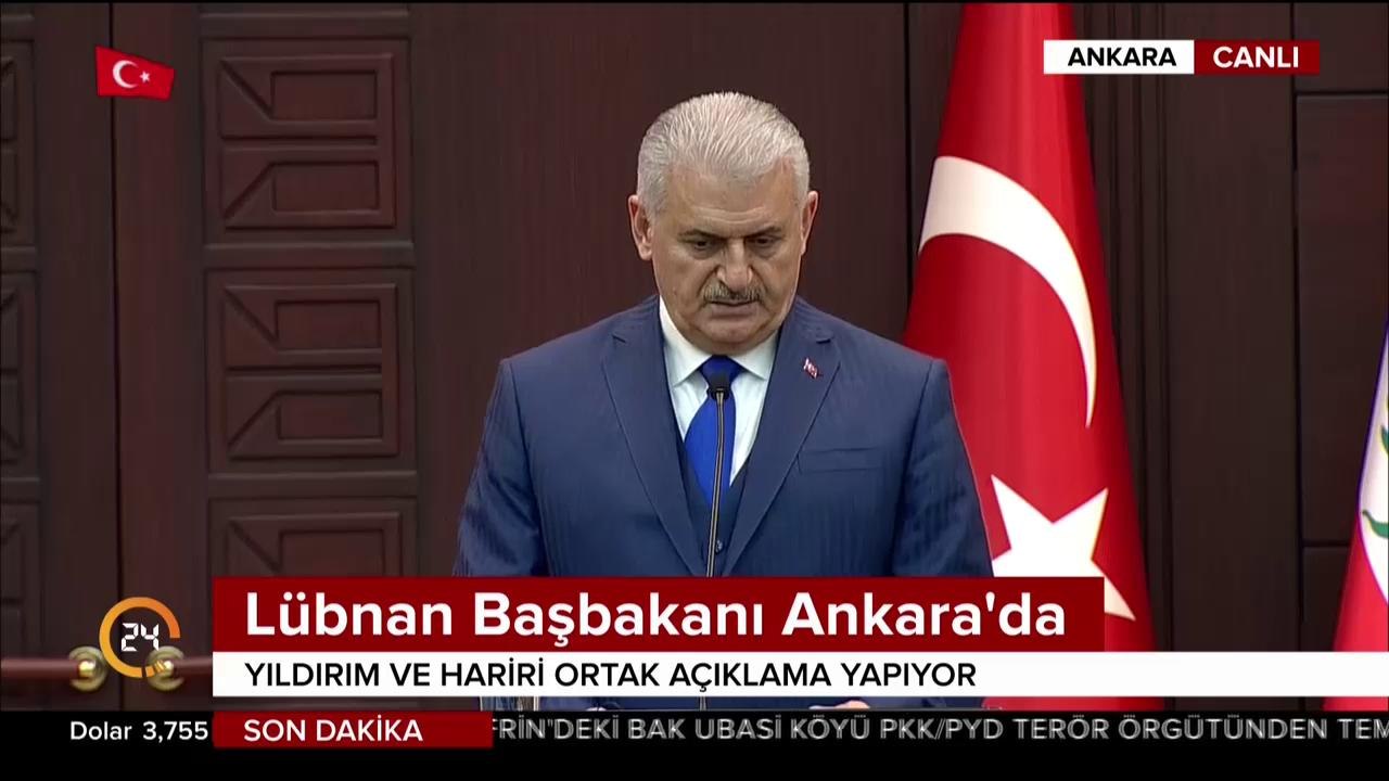 Zeytin Dalı