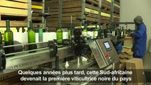 En Afrique du Sud, une Noire au pays des vignerons blancs