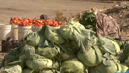 اعتصام المزارعين أمام البرلمان الأردني رفضا لزيادة الضرائب