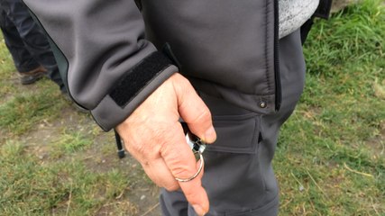 Comptage des oiseaux dans la réserve de la baie