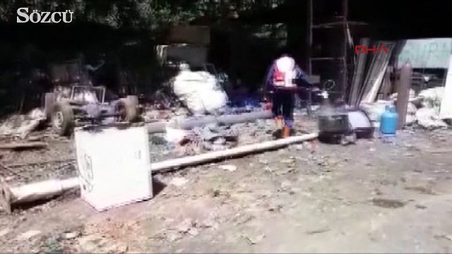 Doğu Karadeniz'de Zika virüsü salgınına neden olan Aedes türü sivrisinekler tespit edildi