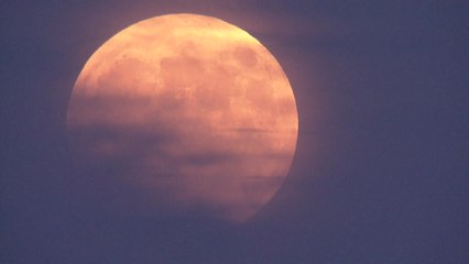 35년 만의 개기월식...19시 49분 반영식 시작 / YTN