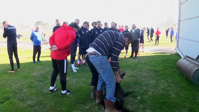 Antalyaspor'da Evkur Yeni Malatyaspor maçı hazırlıkları - ANTALYA