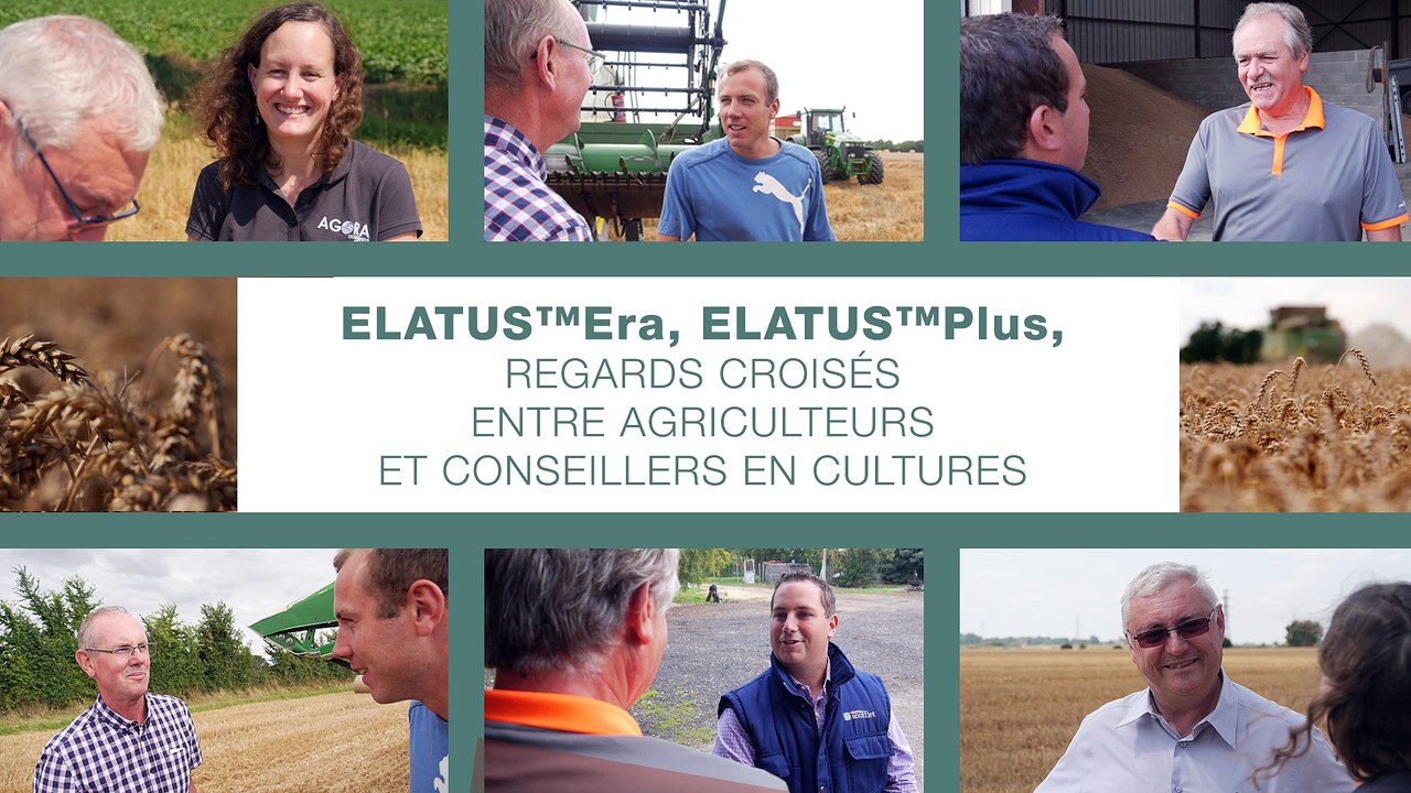 Elatus Era, Elatus Plus, regards croisés entre agriculteurs et conseillers en cultures