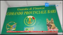 Molfetta Operazione Guardia di Finanza