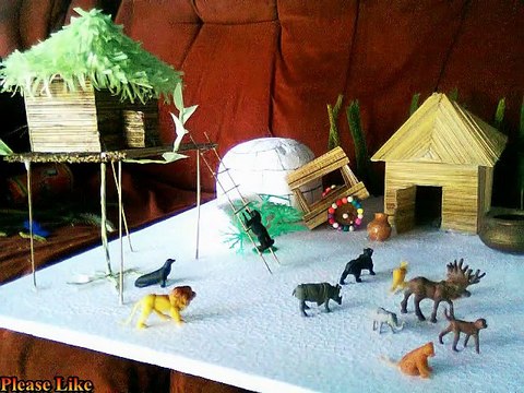 Science Project Models For Exhibition (School Science Fare)- Different Types Of Houses