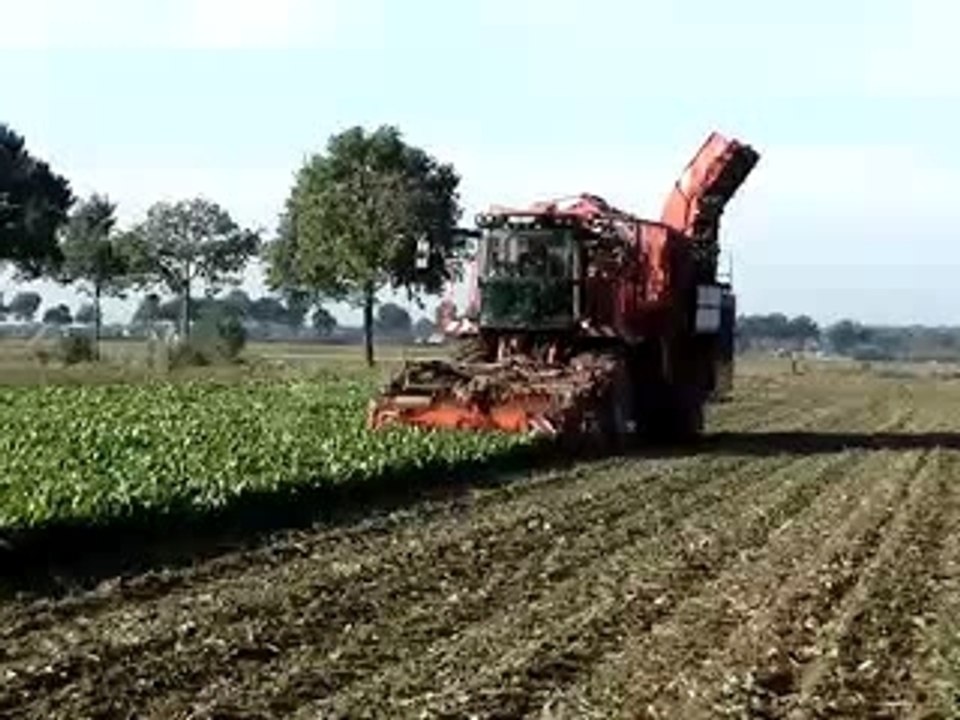 Holmer