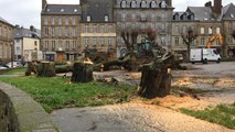 Abattage des arbres place du Centre