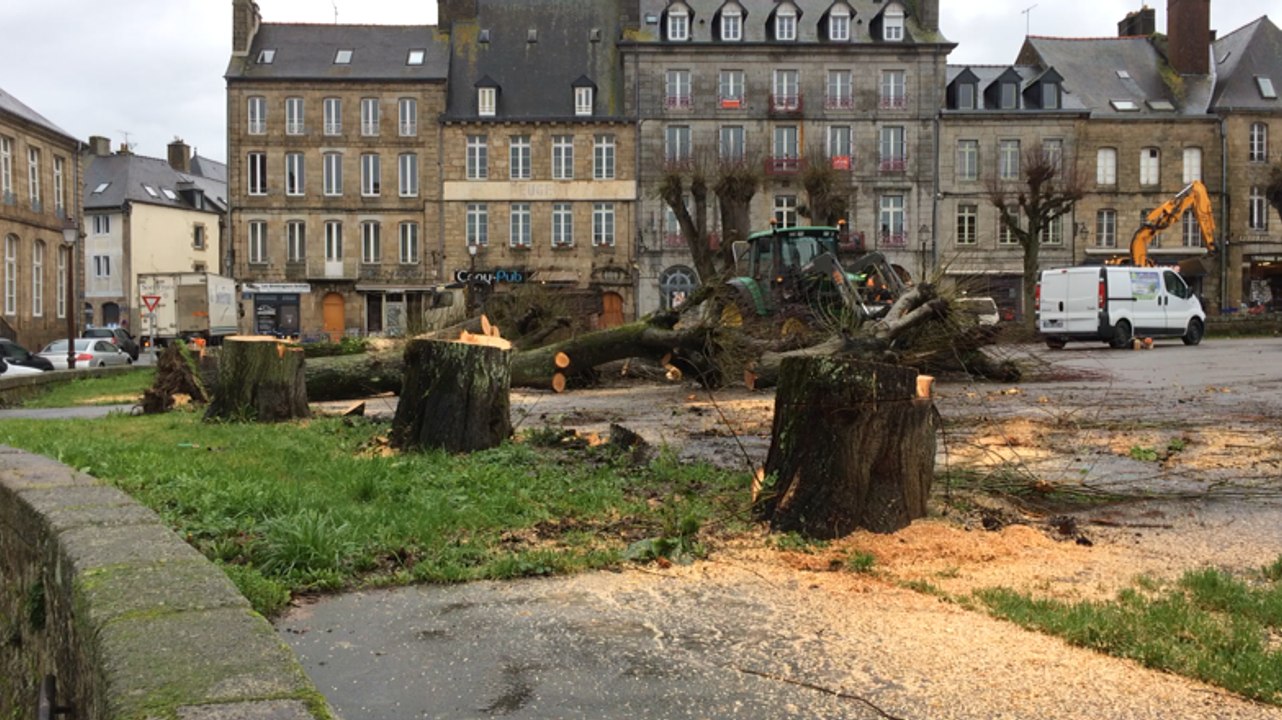 Abattage des arbres place du Centre