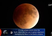 NASA Livestreams Eclipse of 'Super Blue Blood Moon'