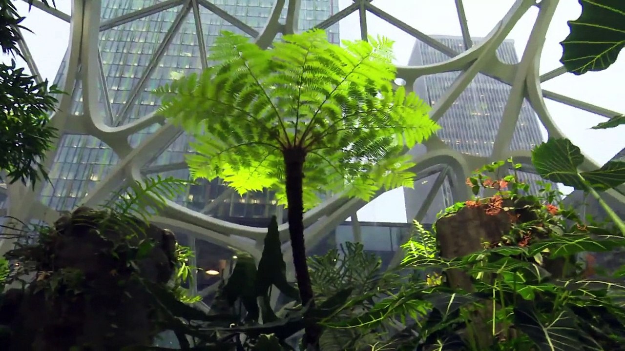 Amazon cria ‘biosferas’ para melhorar produtividade