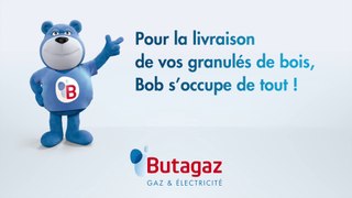 Granulés de bois Butagaz