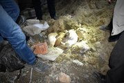 Kastamonu'da Tel Örgülerle Boğulmuş Yavru Köpekler Bulundu