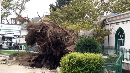 Anadolukavağı Mescidi ibadete açıldı