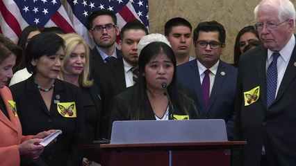 Download Video: Democratas levam 'dreamers' ao Congresso