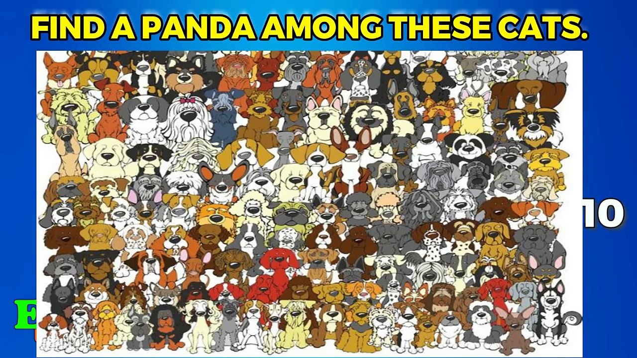 Can You Find These 14 Odd One Out Puzzles - LEVEL 11