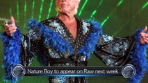 Sting Vs The Rock for WrestleMania? Why Vince ended 'The Streak' - WTTV News 25/4/2014