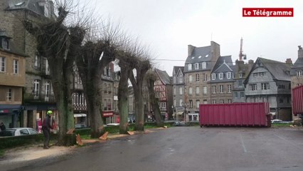 Guingamp. Les 26 tilleuls de la place du Centre en cours d'abattage