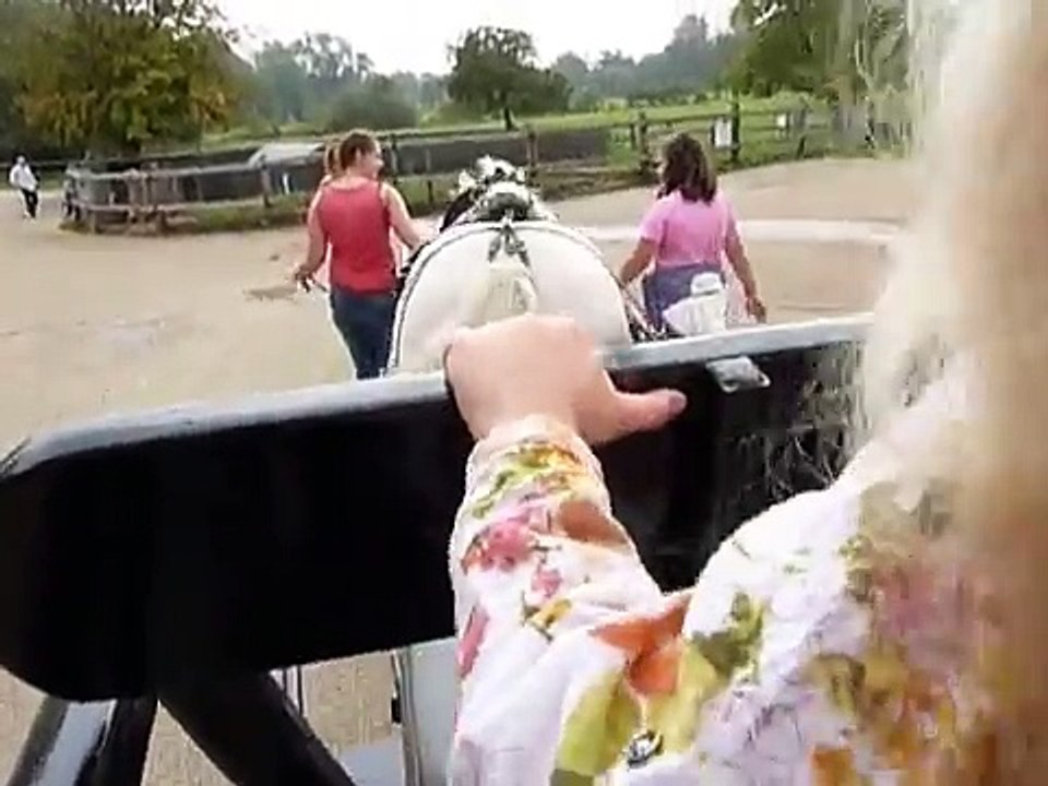 Pony and cart ride at Easton Farm Park