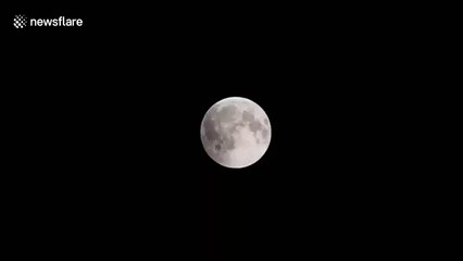 Spectacular super blue blood moon time-lapse seen from Kansas