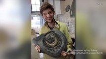 21-Year-Old Finds 190 Million-Year-Old Fossil While Walking His Dogs