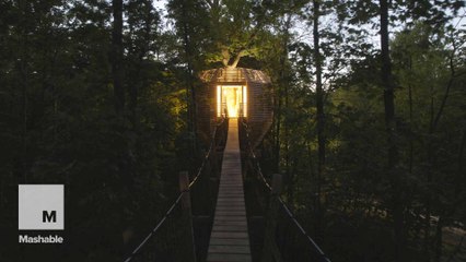 This treehouse is actually a hotel room high up in a French forest