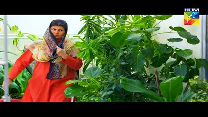 Mein Maa Nahin Banna Chahti Episode 31 - 31 January 2018