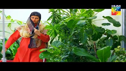 Mein Maa Nahin Banna Chahti Episode 31 - 31st January 2018