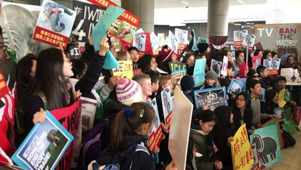 Hong Kong bans ivory sales in landmark vote