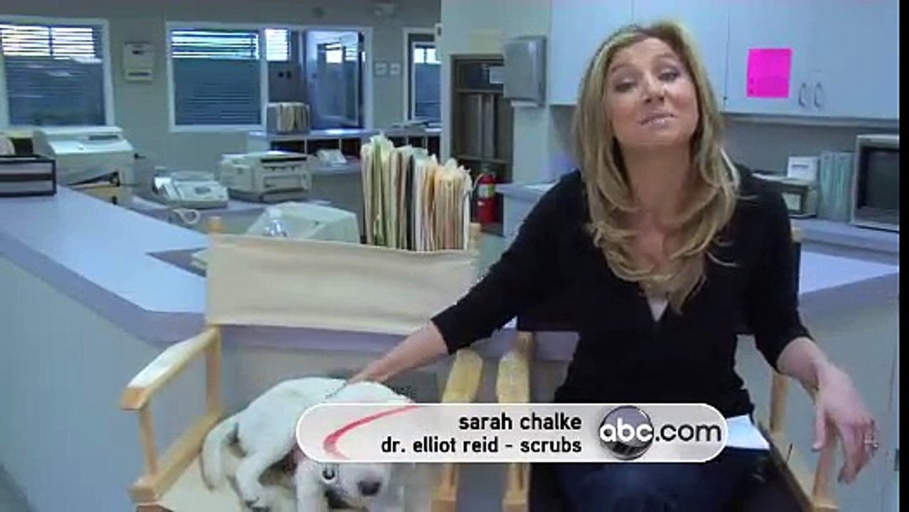 Ask Scrubs - Sarah Chalke