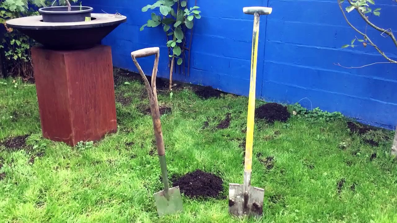 Attraper une taupe vivante avec deux bêches