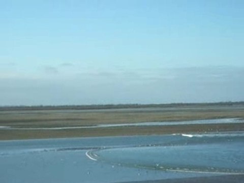 Première vague de la marée montante de la baie de somme
