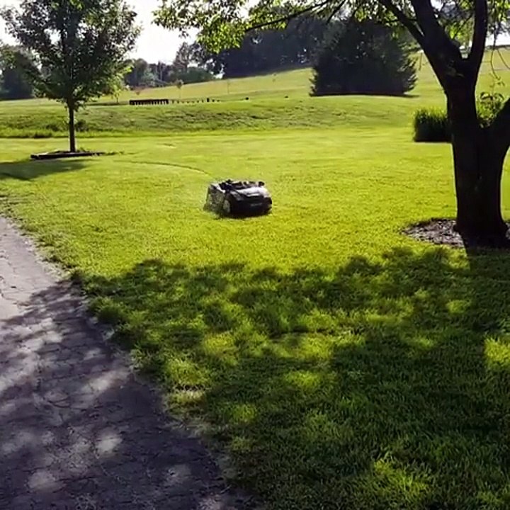 Une tondeuse en forme de Lamborghini