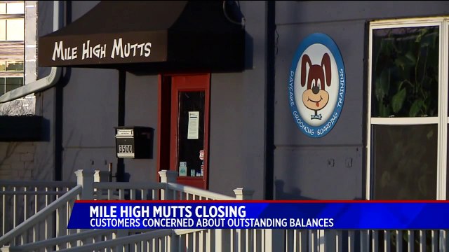 Dog Day Care Announces Sudden Closing, No Refunds for Customers Who Prepaid