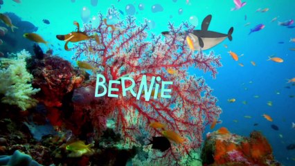 (NEW COMPILATION) Zig & Sharko - UPRIGHT _ HD