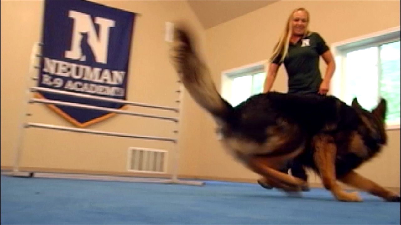 Greatmats Flooring for Dogs
