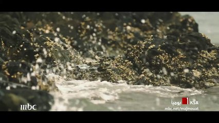 تابعوا برنامج مجموعة إنسان 1 صباحاً بتوقيت السعودية على MBC1 #رمضان_يجمعنا