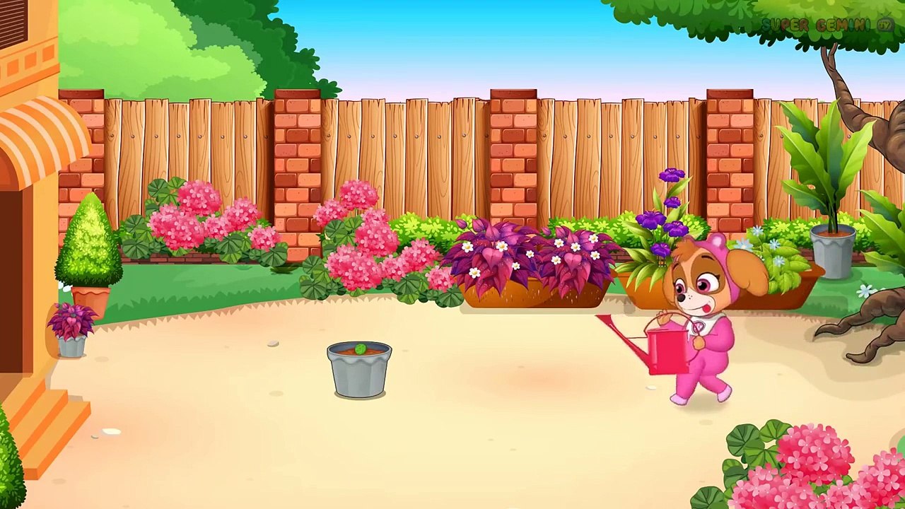 ᴴᴰ Pups Save Chase and Skye ✥✤✥ Psi Patrol po Polsku bajka 2018 ♥✓ Psi Patrol Nowe Odcinki # 7✔️