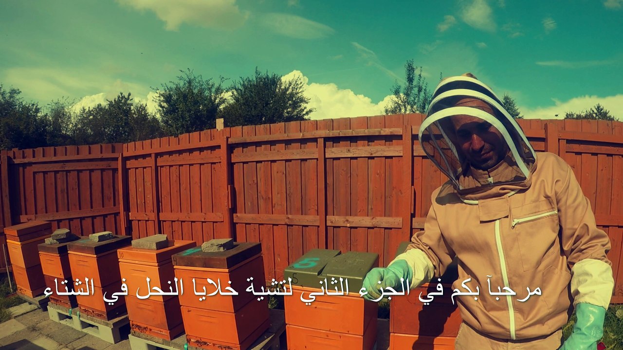 تشتية النحل في فصل الشتاء  الجزء الثاني  ,Processing bees for winter