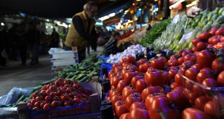 Rusya, 5 Türk Şirketinden Daha Domates İthal Edecek