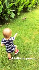 BALTA a falta de perro - 31 de Enero