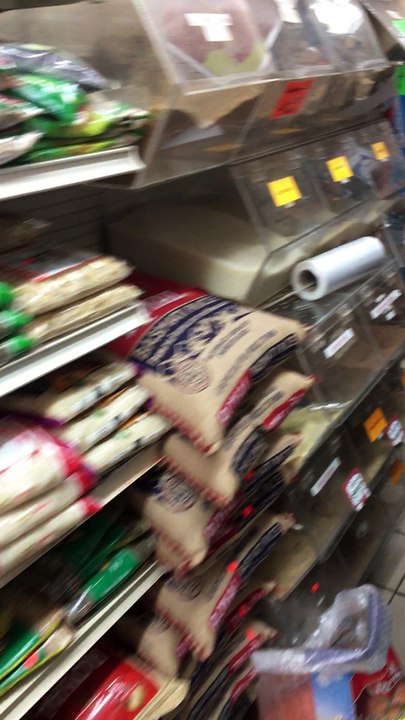 Store Was Freezing Dog-Like Animals